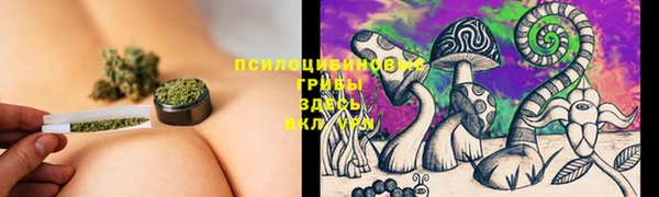 метадон Алексеевка