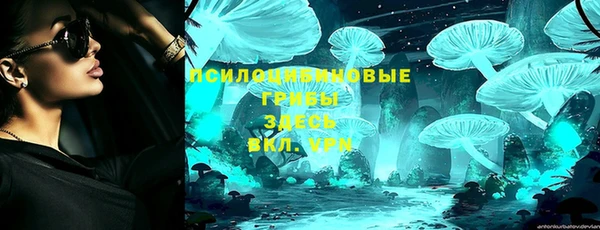 spice Алзамай