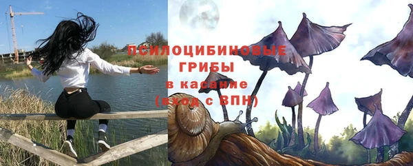 метадон Алексин