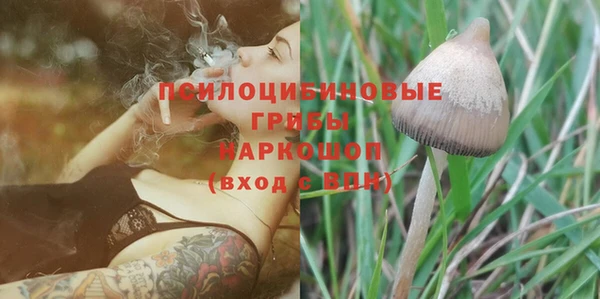 метадон Алексин