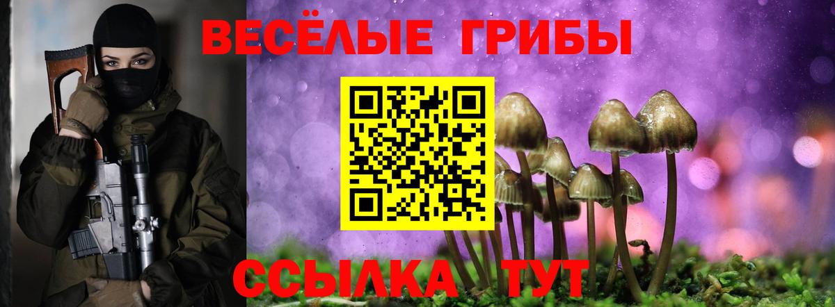 Галлюциногенные грибы мицелий  Вход с VPN  Белореченск  Псилоцибиновые грибы Cubensis 